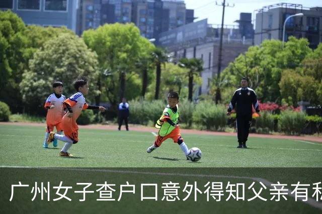 广州女子查户口意外得知父亲有私生子，母亲心痛立遗嘱预防财产流转